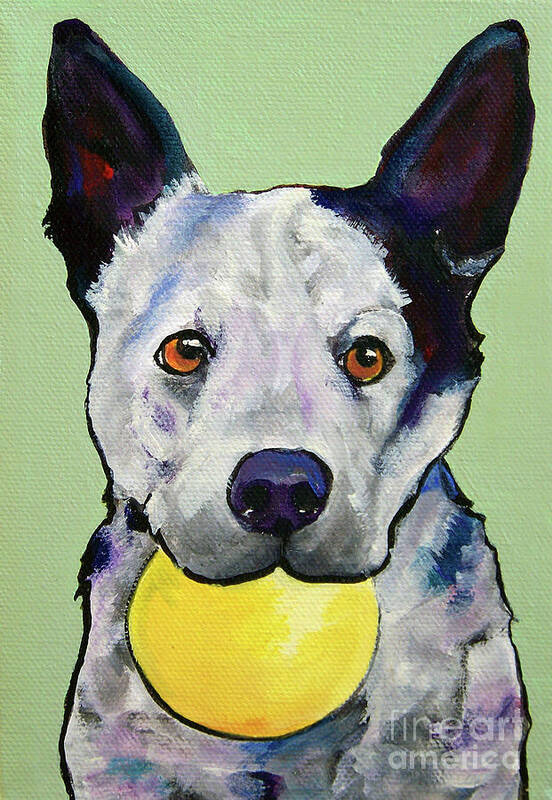 Australian Cattle Dog Poster featuring the painting Yellow Ball by Pat Saunders-White