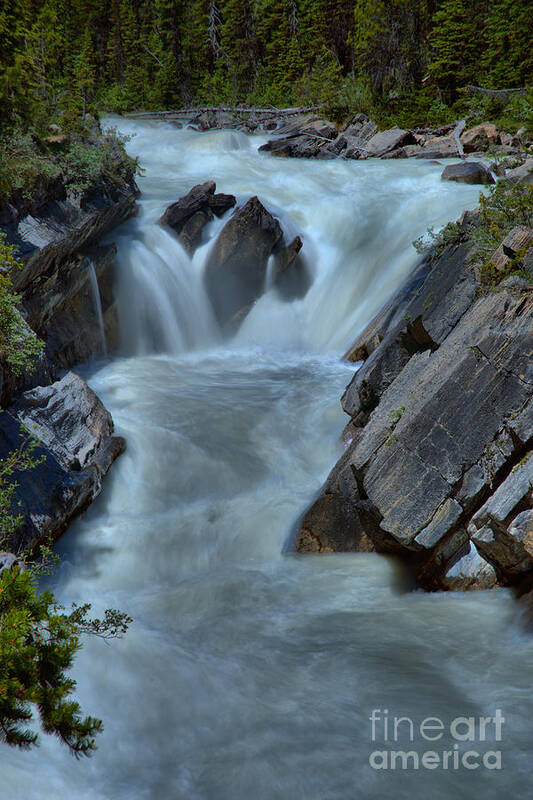 Yoho River Poster featuring the photograph Yoho River Rapids Waterfall by Adam Jewell