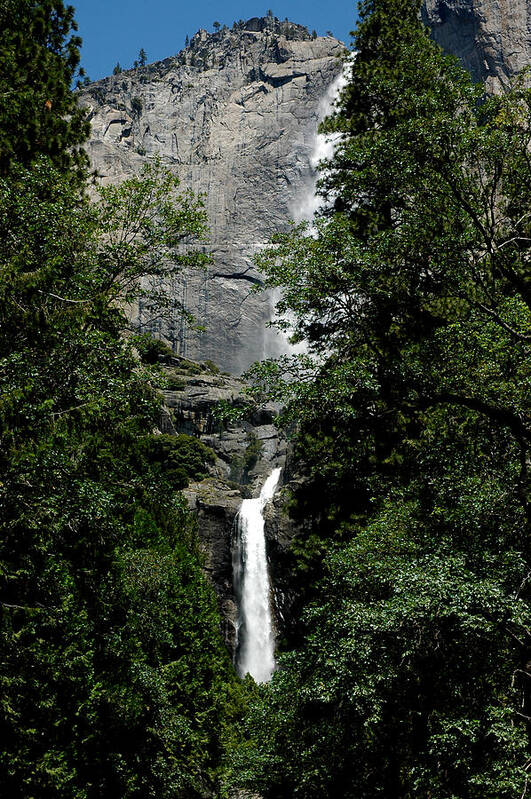 Usa Poster featuring the photograph Yosemite Falls 9 by LeeAnn McLaneGoetz McLaneGoetzStudioLLCcom