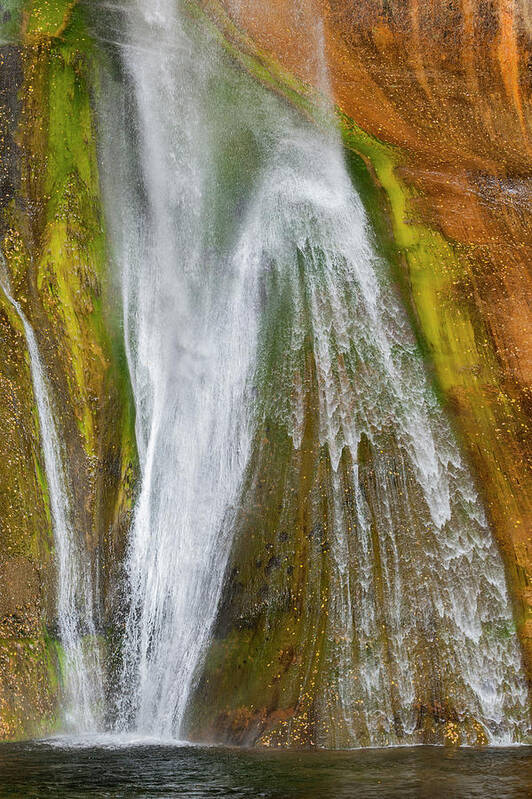 Jeff Foott Poster featuring the photograph Calf Creek Falls In Utah #1 by Jeff Foott