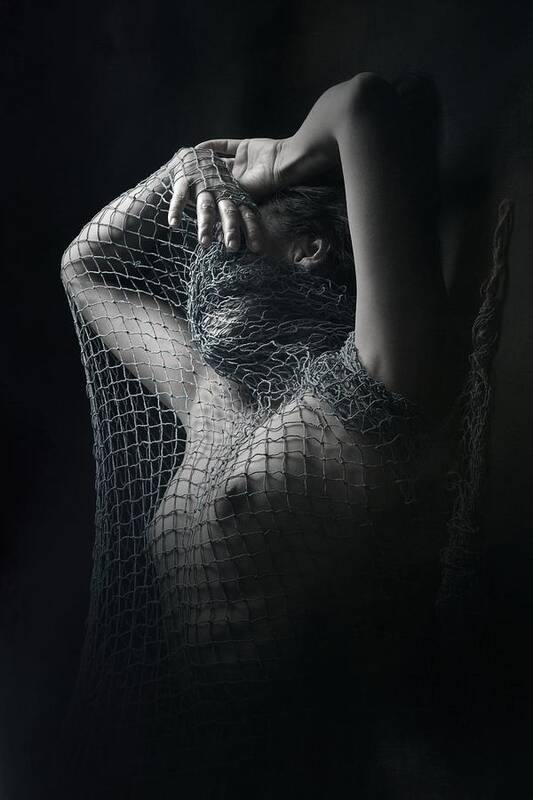 Net Poster featuring the photograph Entangled #1 by Olga Mest