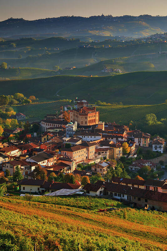 Estock Poster featuring the digital art Italy, Piedmont, Cuneo District, Strada Del Tartufo Bianco, Colline Del Barolo, Langhe, Barolo, View Towards The Village And Its Castle Surrounded By Nebbiolo Da Barolo Vineyards #1 by Riccardo Spila