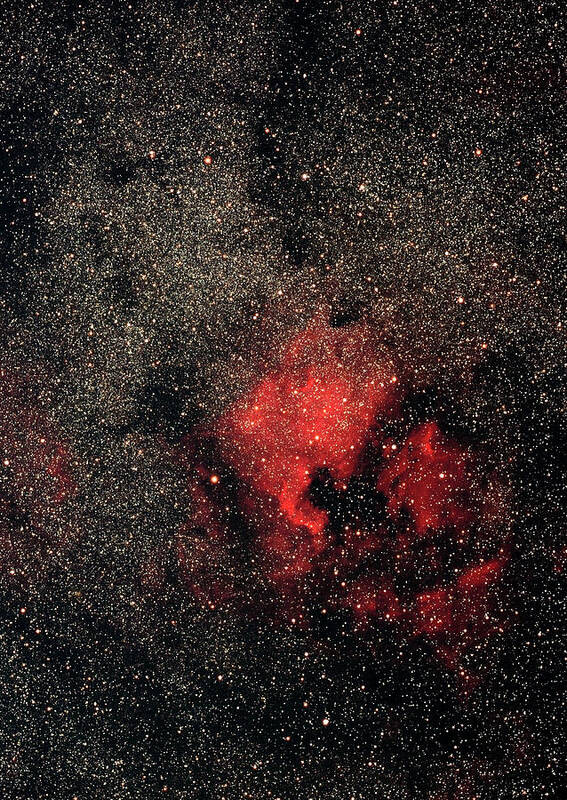 Black Color Poster featuring the photograph North America Nebula And Pelican Nebula #1 by Imagenavi