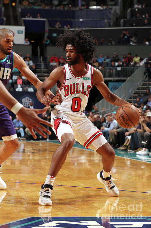 Coby White Poster featuring the photograph Chicago Bulls V Charlotte Hornets #10 by Kent Smith