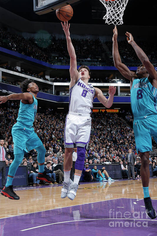 Bogdan Bogdanovic Poster featuring the photograph Charlotte Hornets V Sacramento Kings #18 by Rocky Widner