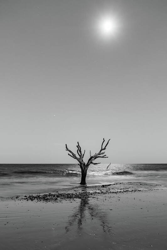 Nature Poster featuring the photograph Scenes Around Hunting Island South Carolina In Summer #19 by Alex Grichenko
