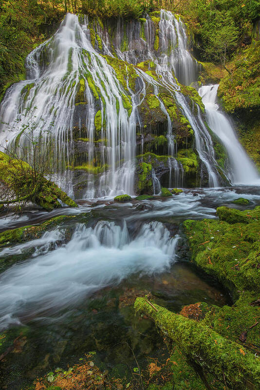 Jeff Foott Poster featuring the photograph Panther Creek Falls #2 by Jeff Foott