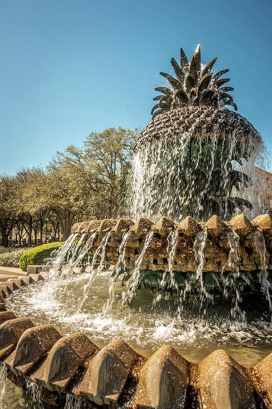 Charleston Poster featuring the photograph The Pineapple Fountain, at the Waterfront Park in Charleston #2 by Alex Grichenko