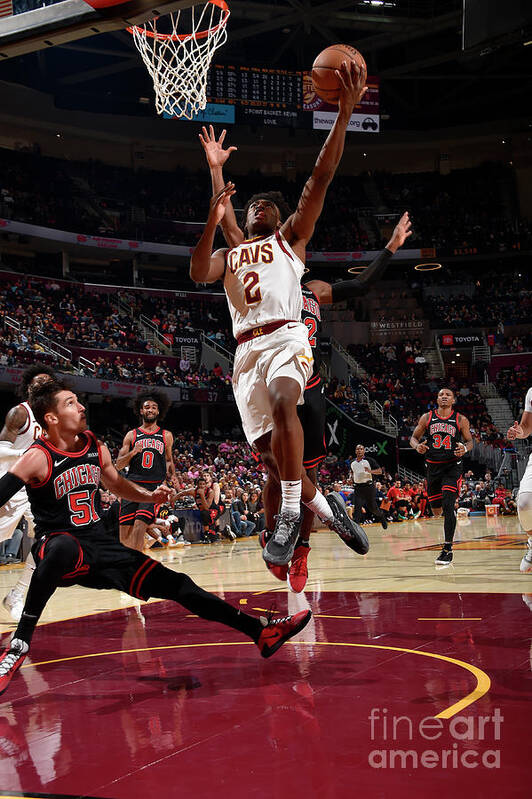 Collin Sexton Poster featuring the photograph Chicago Bulls V Cleveland Cavaliers #23 by David Liam Kyle