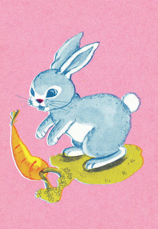 Animal Poster featuring the drawing Bunny rabbit #3 by CSA Images