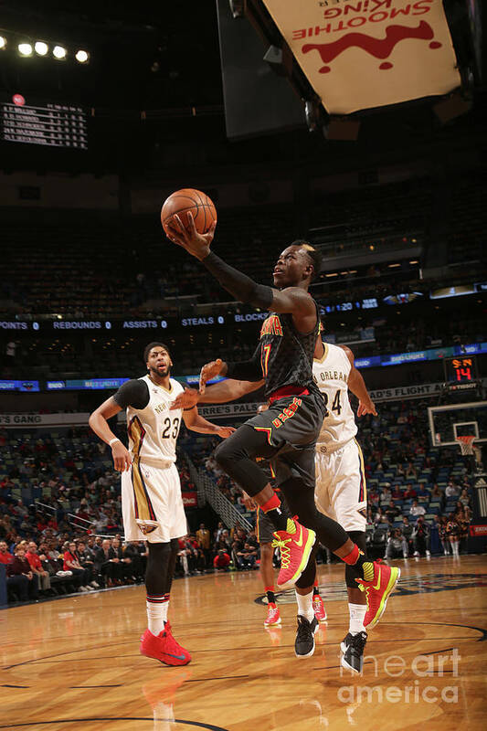 Dennis Schroder Poster featuring the photograph Atlanta Hawks V New Orleans Pelicans #4 by Layne Murdoch