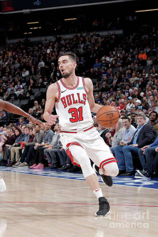 Tomas Satoransky Poster featuring the photograph Chicago Bulls V Sacramento Kings #4 by Rocky Widner