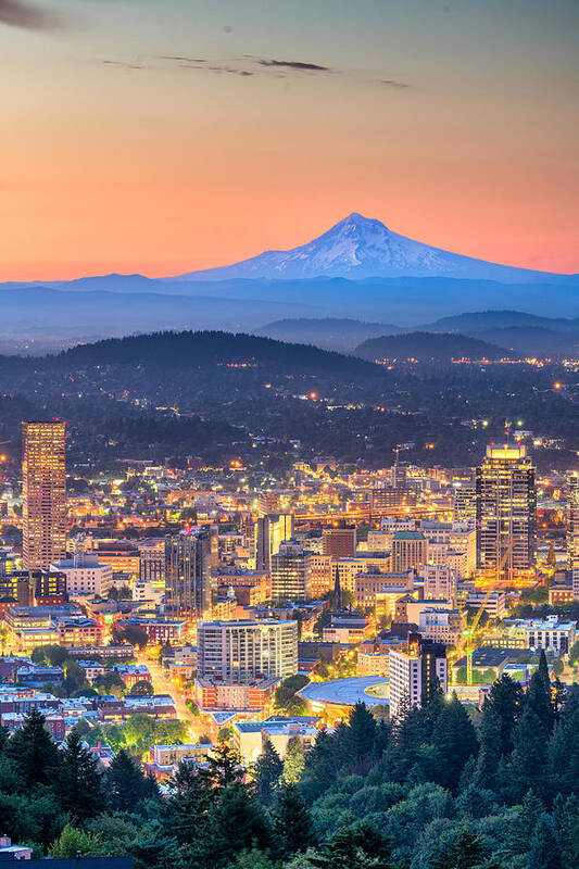 Landscape Poster featuring the photograph Portland, Oregon, Usa Downtown Skyline #4 by Sean Pavone