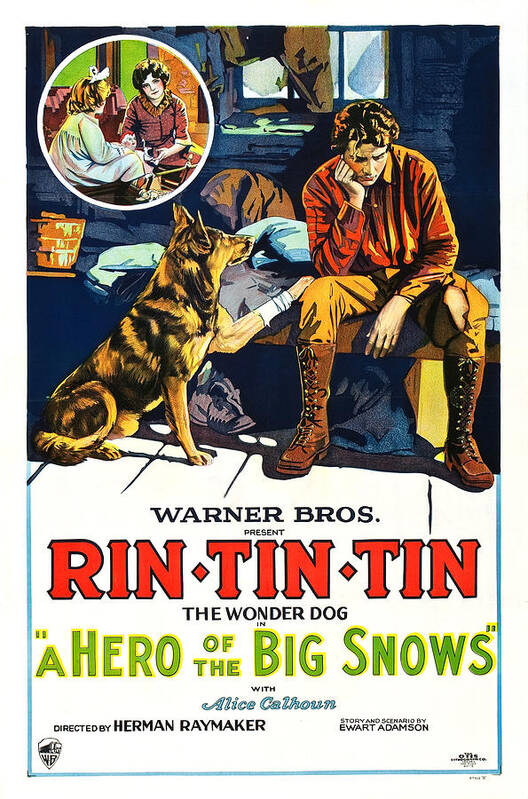 Rin Tin Tin Poster featuring the drawing A Hero of the Big Snows by Warner Brothers