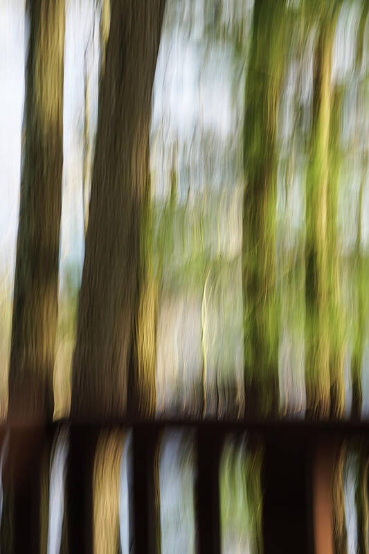 Blurry Trees Poster featuring the photograph Abstract Trees by Tana Reiff