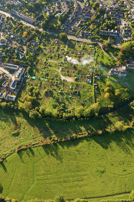 Shadow Poster featuring the photograph Aerial View Over Homes Gardens Summer by Fotovoyager