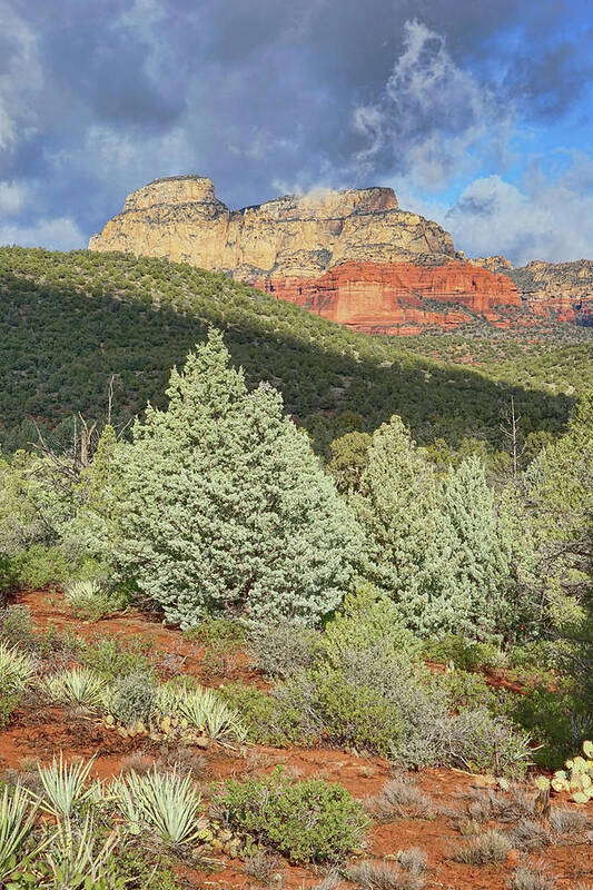 Sedona Poster featuring the photograph After a Storm by Theo O'Connor