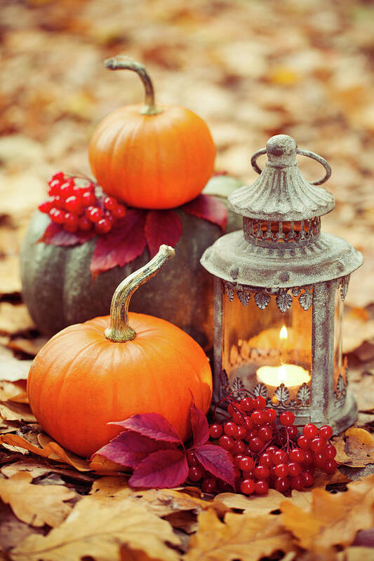 Gourd Poster featuring the photograph Arrangement With Pumpkins And Lantern by 5ugarless