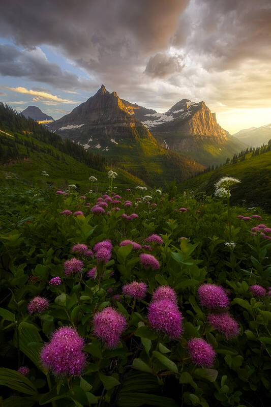 Montana Poster featuring the photograph As It Fades by Ryan Dyar