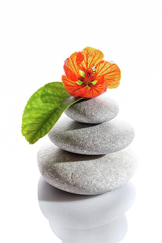 Tranquility Poster featuring the photograph Balanced Stones And Red Flower by Gm Stock Films