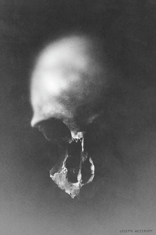Skull Poster featuring the photograph Black Erosion by Joseph Westrupp
