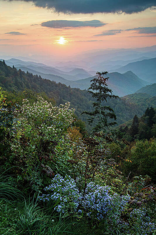 Landscape Poster featuring the photograph Blue Ridge Parkway NC October Wildflowers by Robert Stephens