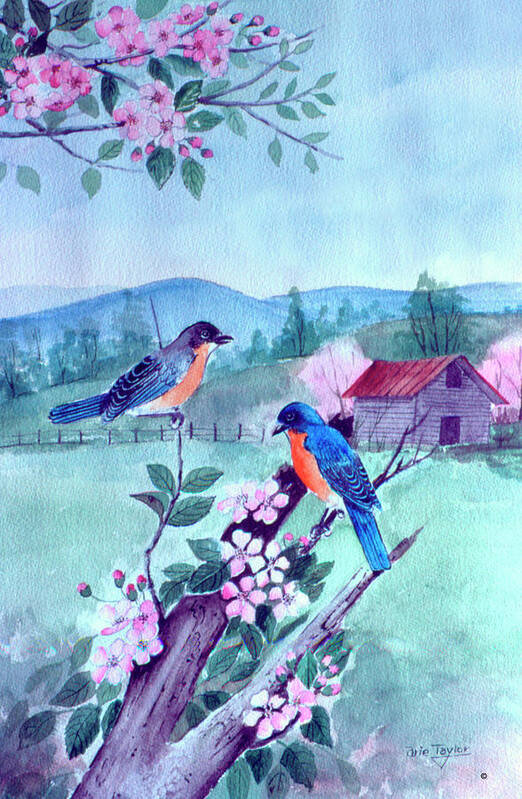 Bluebirds And Apple Blossoms Poster featuring the painting Bluebirds And Apple Blossoms by Arie Reinhardt Taylor