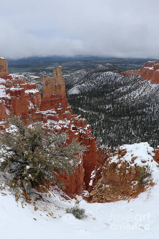 Canyon Poster featuring the photograph Bryce Canyon Winter by Christiane Schulze Art And Photography