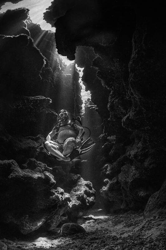 Underwater Poster featuring the photograph Budda In The Sea by Jennifer Lu
