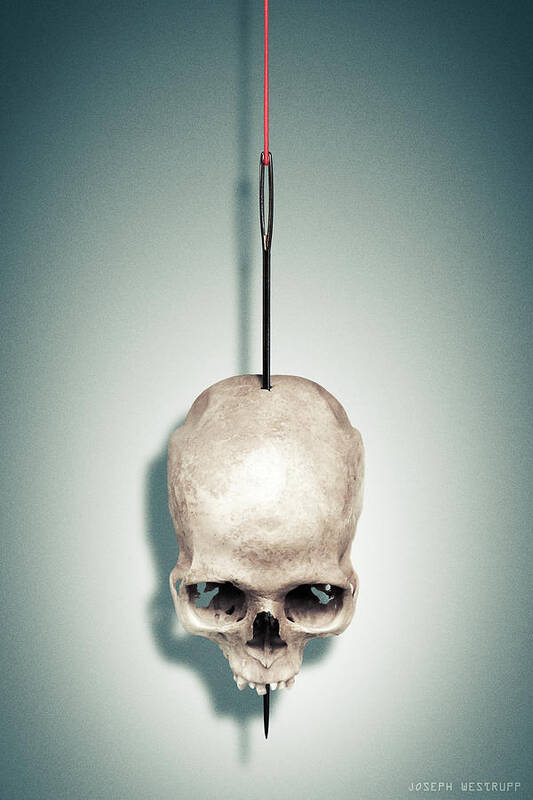 Skull Poster featuring the photograph By a Thread by Joseph Westrupp