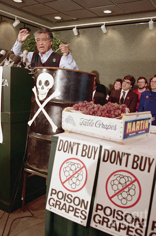 1980-1989 Poster featuring the photograph Cesar Chavez Speaking At Conference by Bettmann