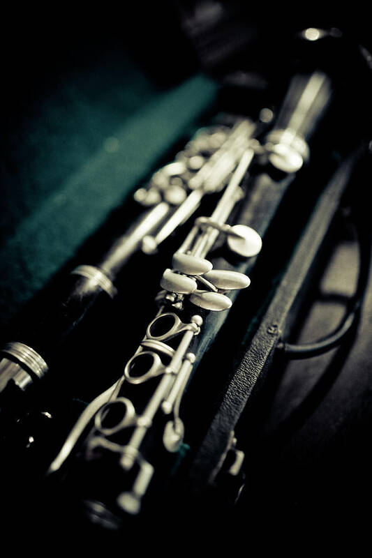 Antique Shop Poster featuring the photograph Clarinet by Thepalmer