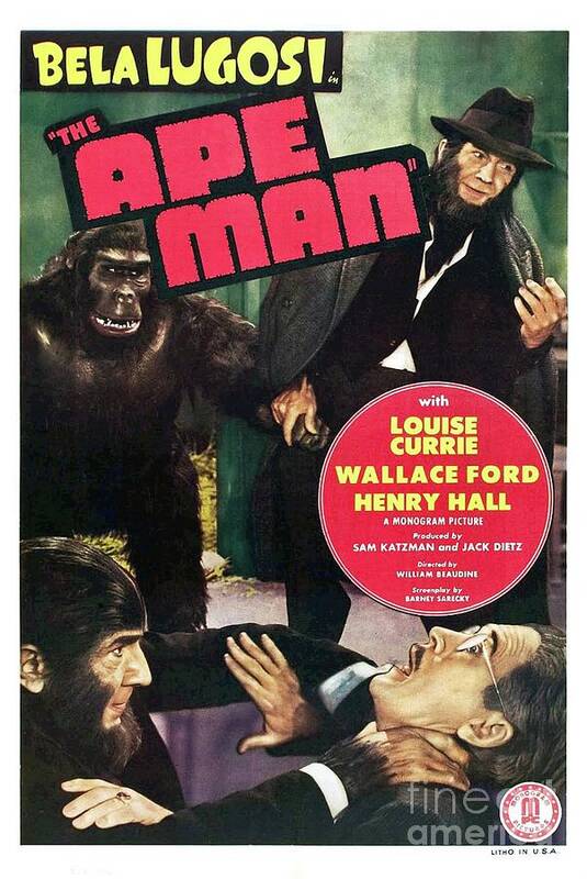 Bela Poster featuring the painting Classic Movie Poster - The Ape Man by Esoterica Art Agency