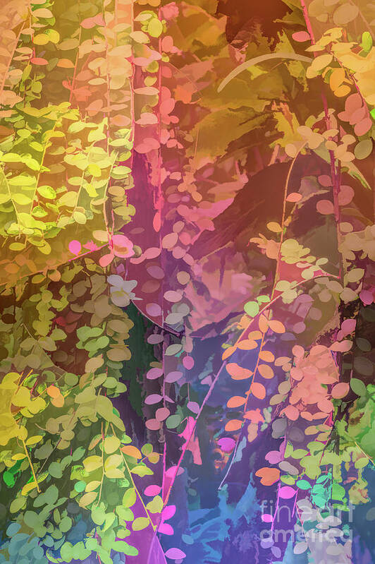 Abstract Poster featuring the photograph Colorful Leaves by Roslyn Wilkins