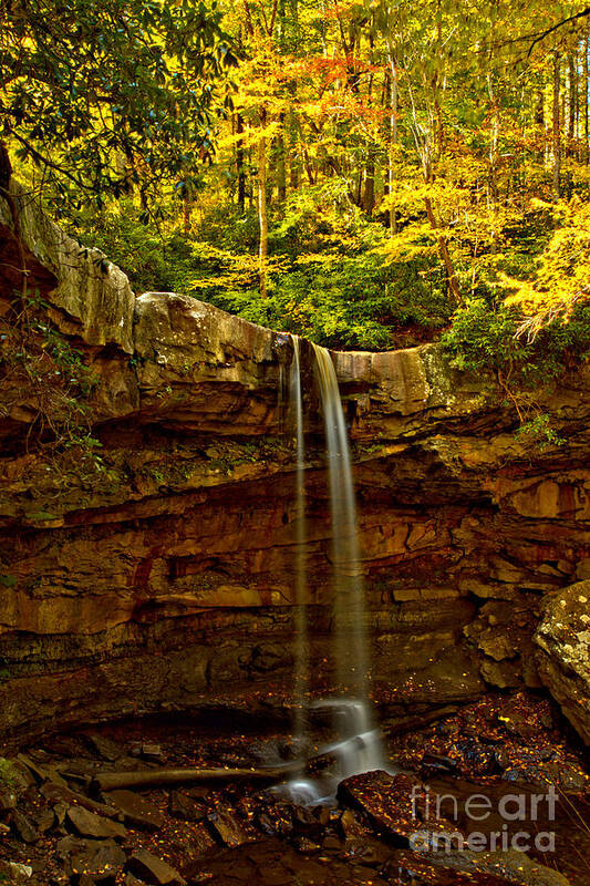 Cucumber Falls Poster featuring the photograph Cucumber Falls Autumn Canopy by Adam Jewell