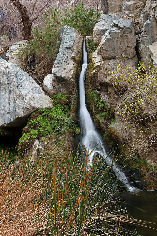 Tom Daniel Poster featuring the photograph Darwin Falls by Tom Daniel