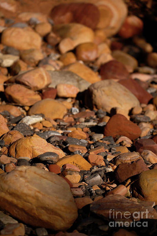 Stream Poster featuring the photograph Dry Creek by James Moore