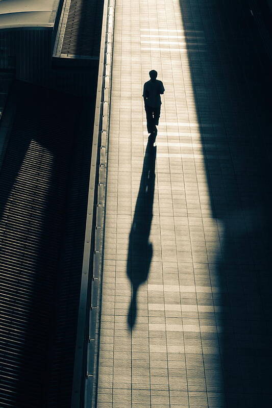 Silhouette Poster featuring the photograph Dusk by Haruyo Sakamoto