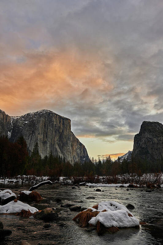 Forest Poster featuring the photograph El Capitan at Sunset by Jon Glaser