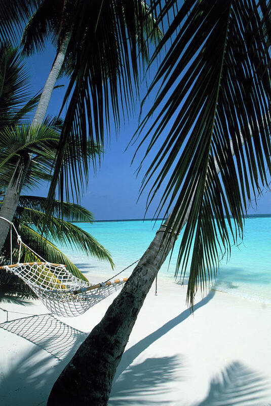 Empty Poster featuring the photograph Empty Hammock On Beach by Buena Vista Images