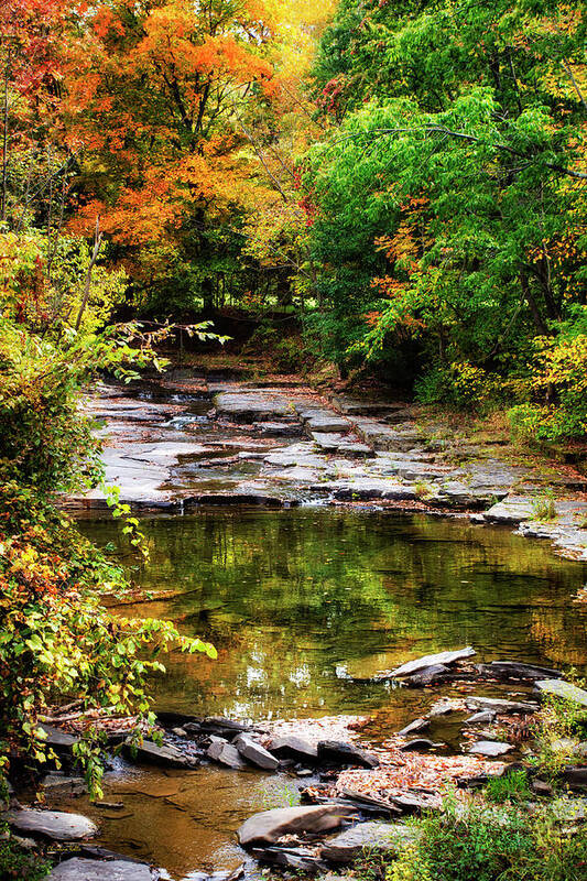 Fall Poster featuring the photograph Fall Creek by Christina Rollo