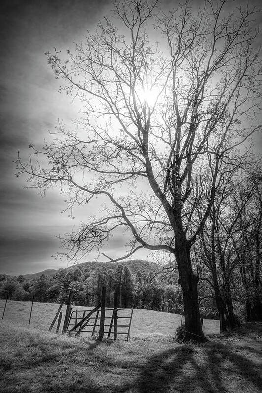Appalachia Poster featuring the photograph Farm Gate in Black and White by Debra and Dave Vanderlaan