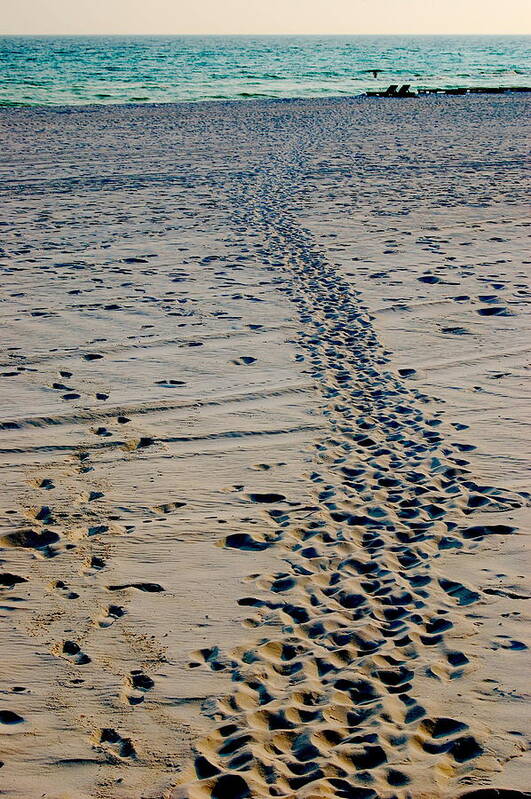 Footprints Poster featuring the photograph Footprints in the Sand by Dennis Schmidt