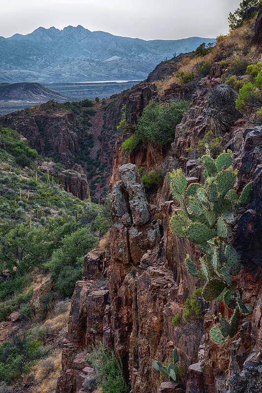 Four Peaks Poster featuring the photograph Four Peaks Canyons and Prickly Pear by Dave Dilli