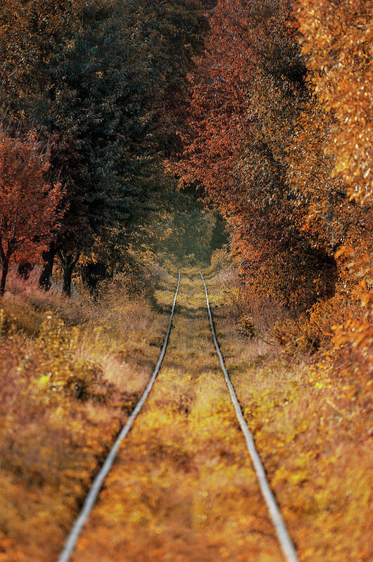 Tunnel Poster featuring the photograph Golden tunnel by Jaroslaw Blaminsky