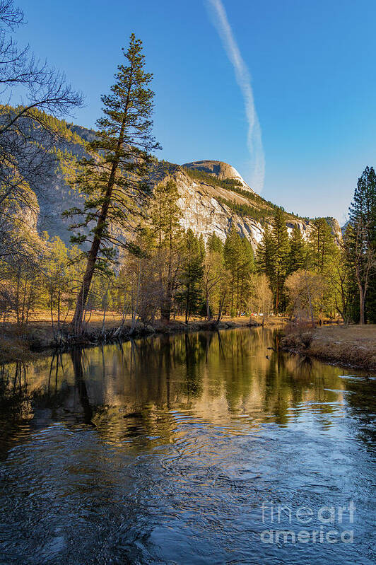 Airplane Trails Poster featuring the photograph Half dome with Leaning Tree by Roslyn Wilkins