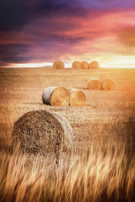 Scotland Poster featuring the photograph Harvest Hay Bales Scotland by Carol Japp