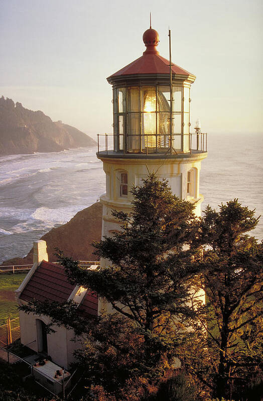 Scenics Poster featuring the photograph Heceta Head Lighthouse by Wbritten