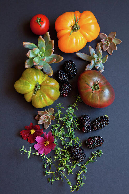Foothill Ranch Poster featuring the photograph Heirloom Tomatoes With Herbs, Berries by Beth D. Yeaw