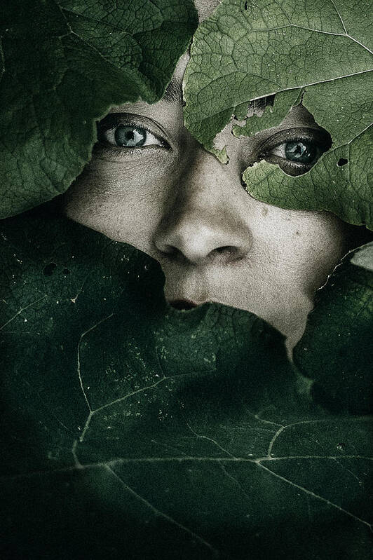 Girl Poster featuring the photograph Hidden In Nature by Barbora Bi?ovcov